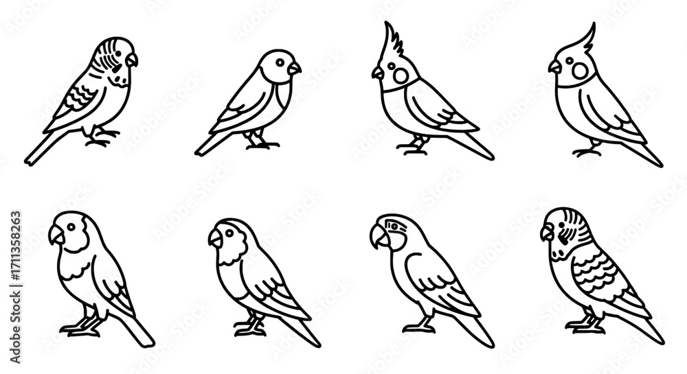 Fototapeta premium Collection of Bird Illustrations Budgies, Cockatiels & More