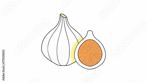 Whole fig and half fig with orange flesh isolated on transparency background, minimal line art style