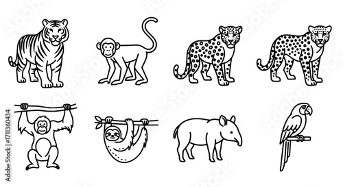 Line Art of Tropical Animals Collection