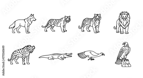 Diverse Wildlife A Collection of Animal Illustrations
