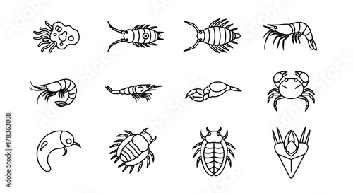 Seafood Silhouettes Diverse Collection of Crustaceans and Aquatic Creatures