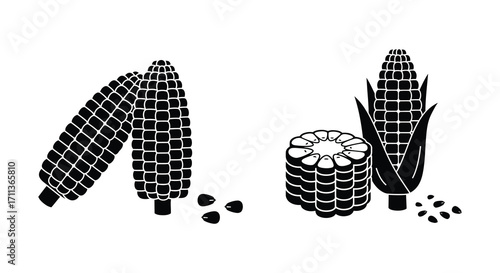 Black and white illustration of corn cobs and scattered kernels
