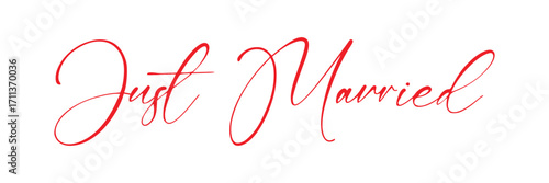 just married hand lettering phrase. vector brush calligraphy text design isolated on white background. vector illustration. Eps 10.