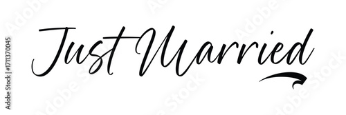 just married hand lettering phrase. vector brush calligraphy text design isolated on white background. vector illustration. Eps 10.