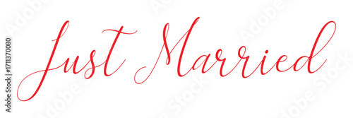 just married hand lettering phrase. vector brush calligraphy text design isolated on white background. vector illustration. Eps 10.