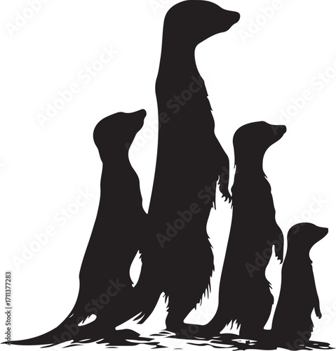 Alert meerkat family stands watch in silhouette