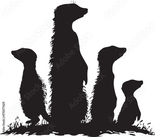 Alert meerkat family stands guard in silhouette