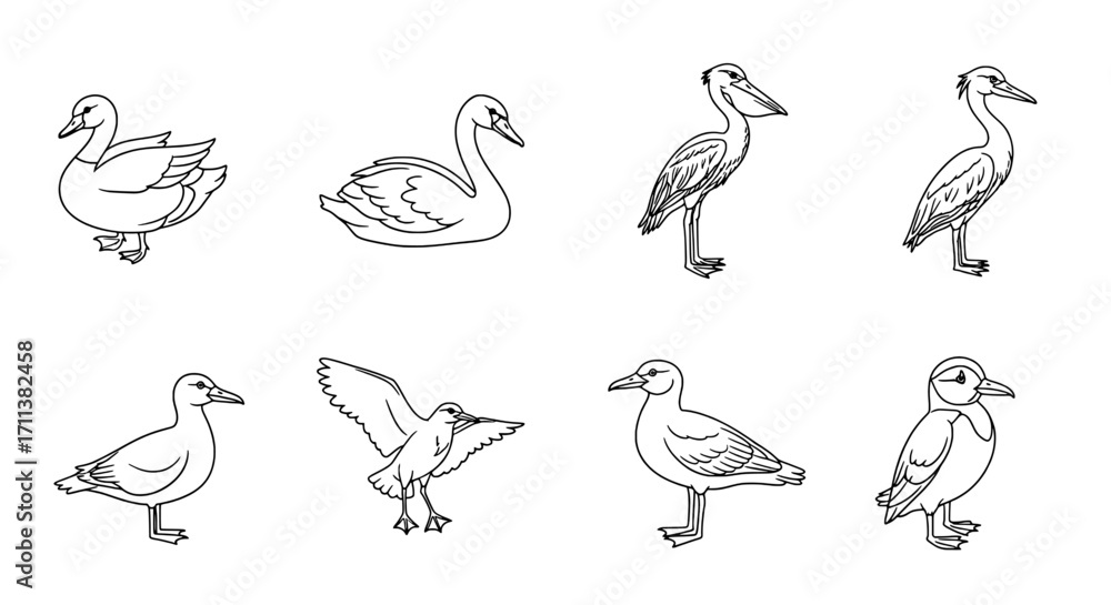 Fototapeta premium Collection of Bird Outlines Duck, Swan, Heron, Seagull and More