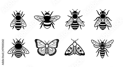 Bee and Butterfly Icons Nature, Insects, and Graphic Design Elements