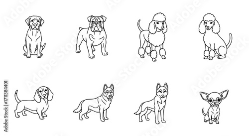 Diverse Dog Breed Outlines Bulldog, Poodle, Chihuahua & More