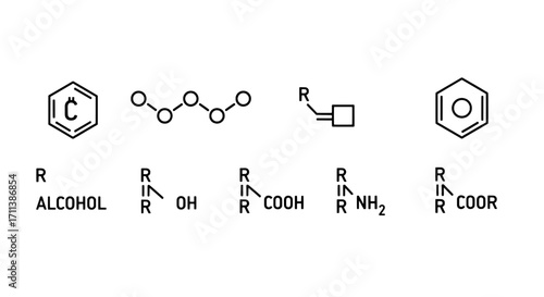Chemical Structures Alcohol, Peroxide, Acid, Amine, and Ester