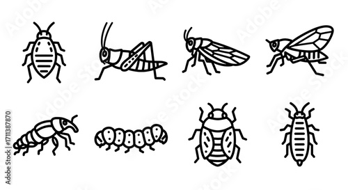 Minimalist line art icon set of various insects and bugs