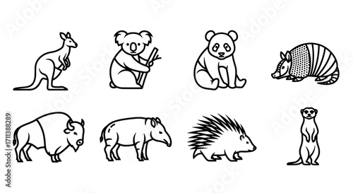 Adorable Fauna A Collection of Illustrated Wild Animals in Black and White
