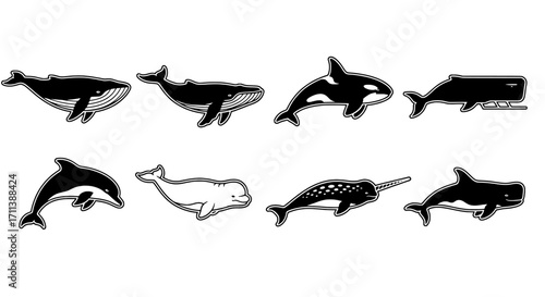 Monochrome vector icon set of sea animals featuring whale, dolphin, narwhal, beluga, orca, and shark