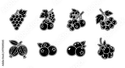 Assorted Berries and Grapes - Fresh Fruit Icons