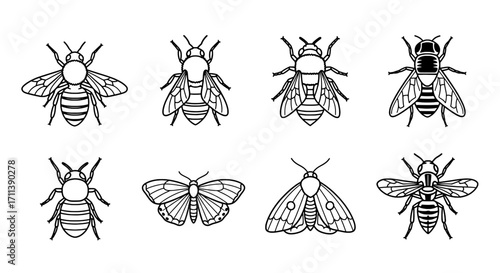 Collection of black and white line art insect illustrations with bees and moths