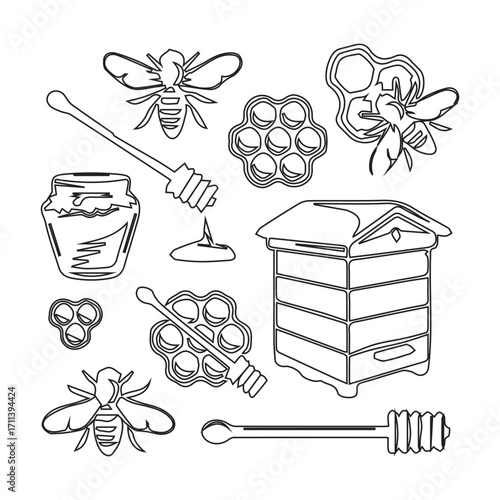 Honey Bee Illustrations