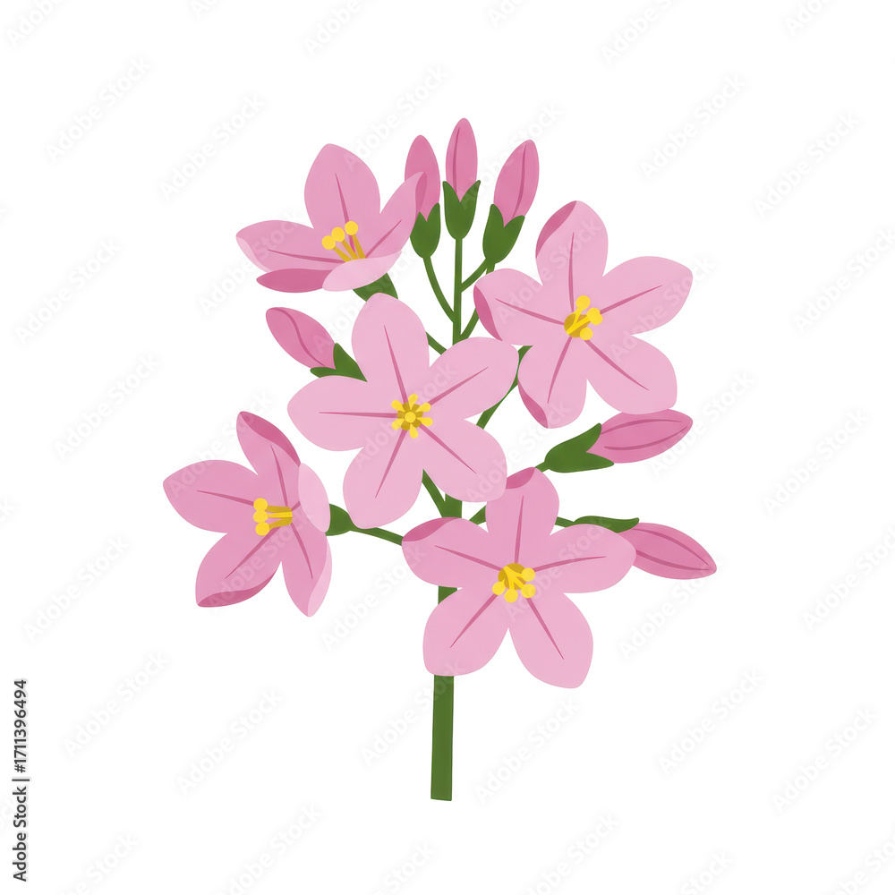 Obraz premium Delicate cluster of pink flowers with budding blooms isolated on white background
