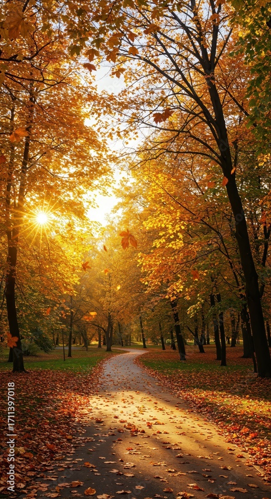 Naklejka premium Autumnal Trail of Radiance: A winding path invites exploration, framed by trees ablaze with gold, orange, and russet hues, as sunlight streams through the leaves.