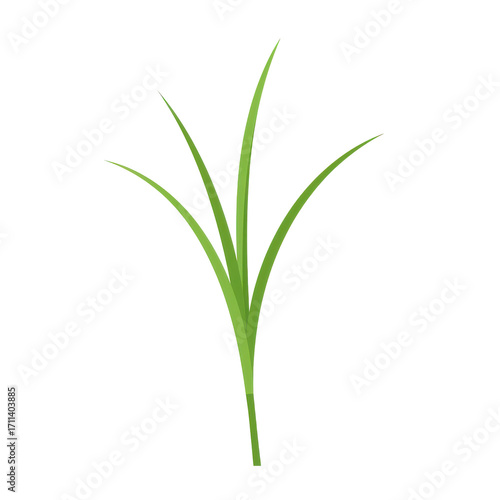 Wallpaper Mural Vibrant green grass blades, simple nature illustration isolated on white background Torontodigital.ca