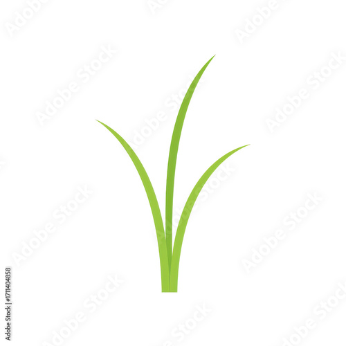 Wallpaper Mural Simple green grass sprig illustration isolated on white background Torontodigital.ca