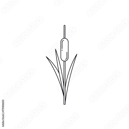 Elegant line art illustration of a cattail plant isolated on white background