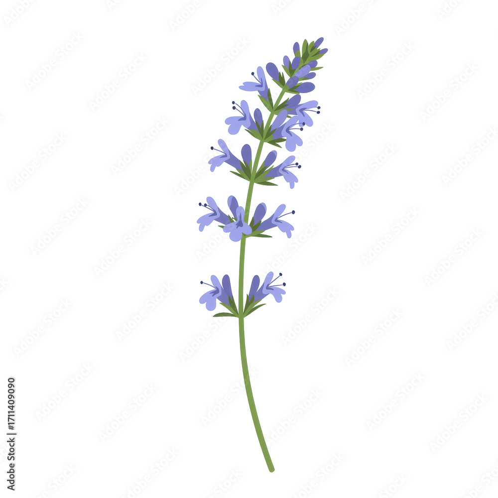 Naklejka premium Vibrant illustration of a single stemmed lavender herb isolated on white background