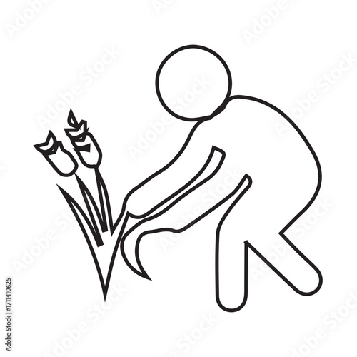 Harvesting Wheat