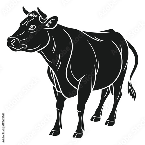 cow vector illustration