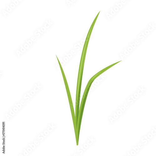 Wallpaper Mural Vibrant green grass blades illustration, detailed closeup isolated on white background Torontodigital.ca