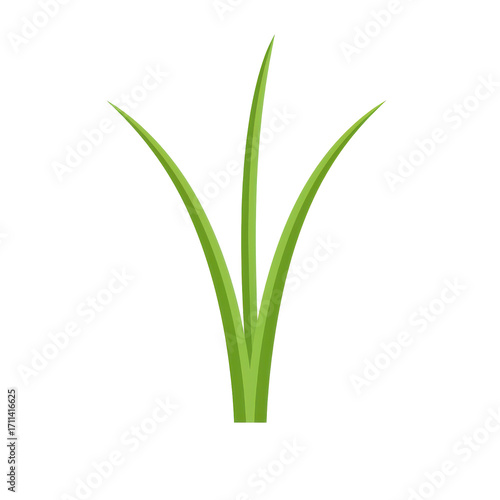 Wallpaper Mural Simple green blades of grass rising upwards in a vector illustration isolated on white background Torontodigital.ca