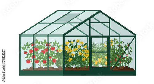 Lively greenhouse teeming with various crops under a glassy roof