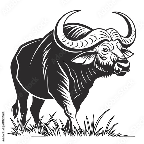 silhouette of a buffalo with large horns and a hump