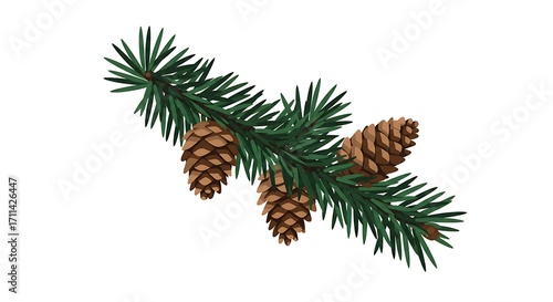 Wallpaper Mural Evergreen Pine Branch with Pine Cones Illustration on White Background. Torontodigital.ca