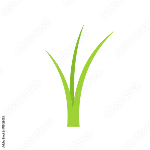 Wallpaper Mural Simple illustration of green grass blades, upward growth and freshness isolated on white background Torontodigital.ca