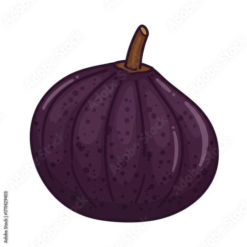 Dark purple fig illustration with detailed texture and stem isolated on white background
