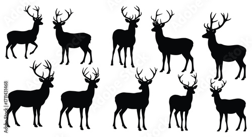 Silhouettes of majestic deer with large antlers in a natural setting