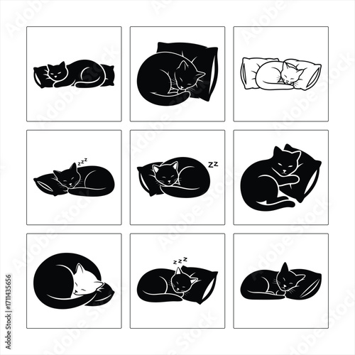 Black And White Cats Sleeping On Pillows Vector Illustration Set Graphic Resource
