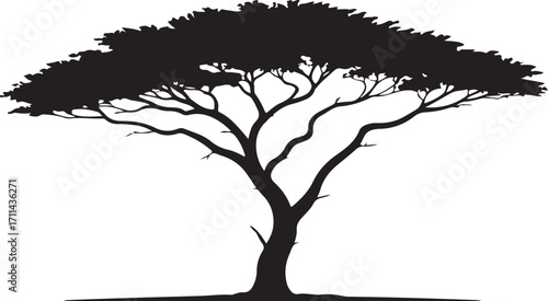 Acacia Tree Silhouette