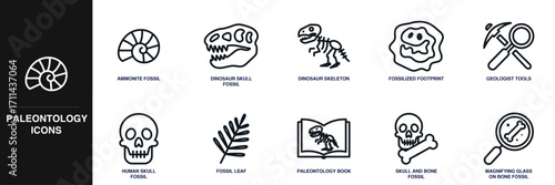 Paleontology Line Icon Set