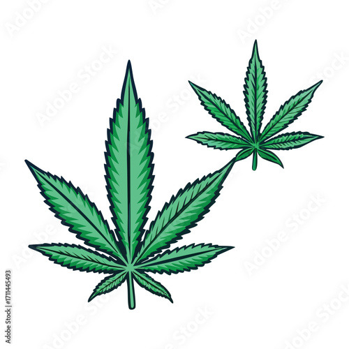 Stylized cannabis leaf and buds artwork for medical and recreational marijuana themes