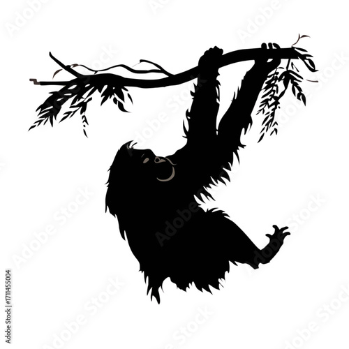 Monkey Silhouette Hanging on Tree Branch