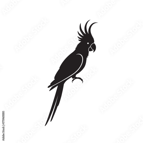 Minimalist Parrot Silhouette Vector