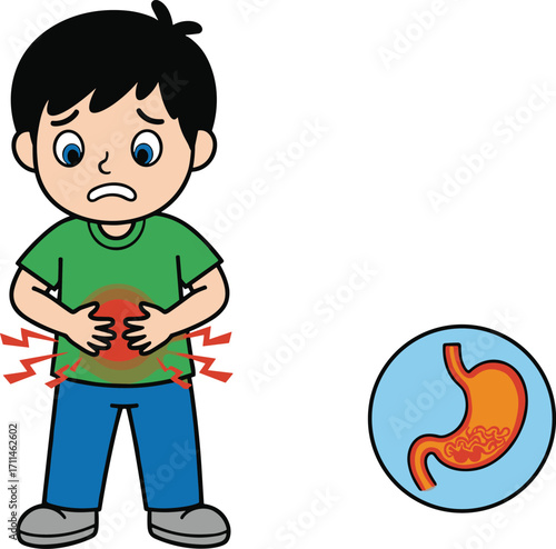 Cartoon child with stomach pain, red highlight and digestive diagram, distressed expression, educational health illustration, kids medical symptom concept, white background
