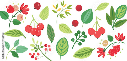 A cluster of red berries with green leaves on a clean white background.