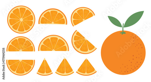 Collection of fresh orange slices and a whole fruit.