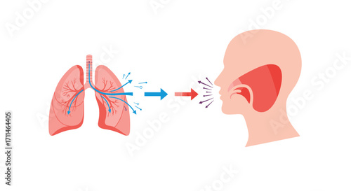 Understanding how respiratory droplets spread through the air from a person's mouth and nose.