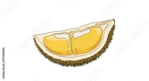 A slice of ripe durian fruit showing its creamy yellow flesh and spiky rind.