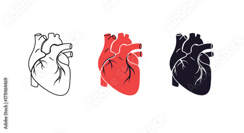 Exploring the visual representations of the human heart across different artistic styles.