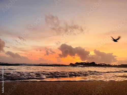sunset on the beach